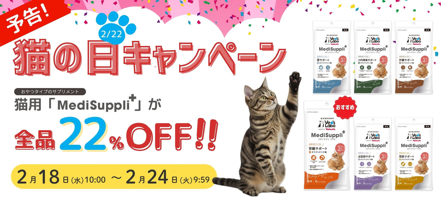 【予告】猫の日（2/22） 特別キャンペーン開催！